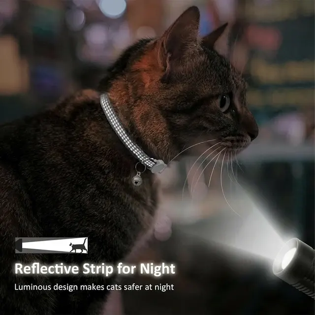 Personalisiertes Katzenhalsband 3