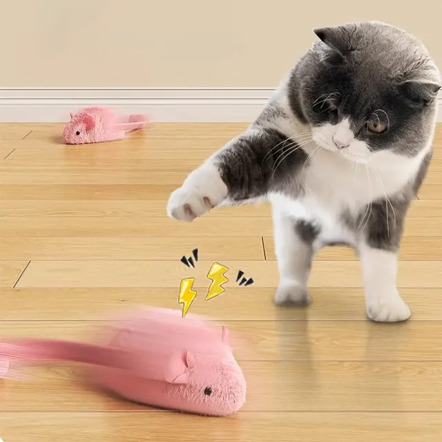 Interaktives Katzenspielzeug 3