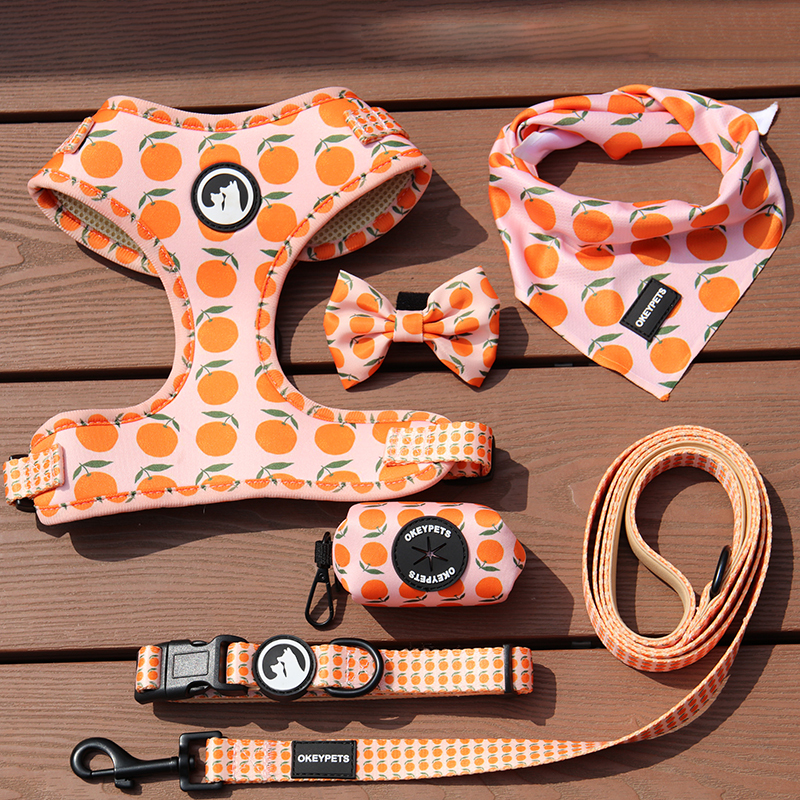 Reversibles Hundegeschirr-Set mit Halstuch und Leine 2