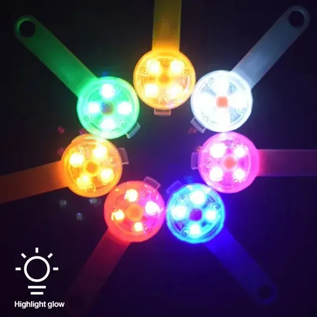 LED-Hundehalsband 4