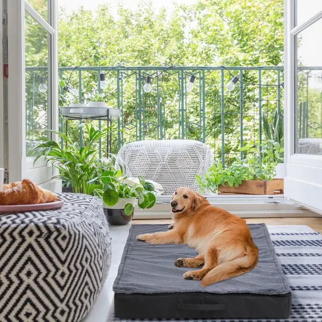 Orthopädisches Hundebett 3