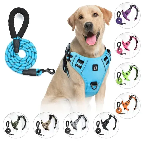 Hundegeschirr mit Leine