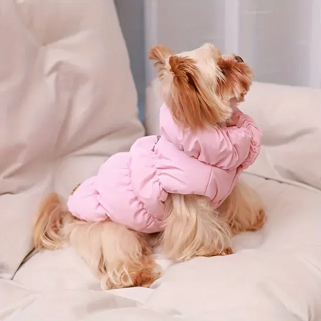 Hundemantel 3