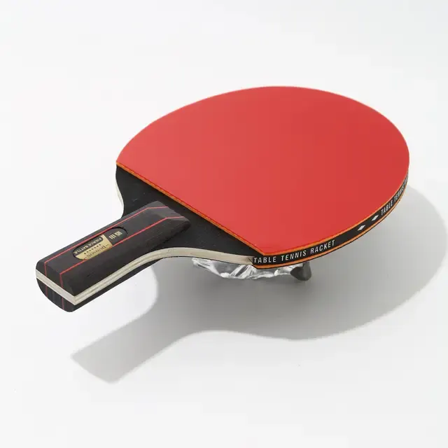 Tischtennisschläger 4