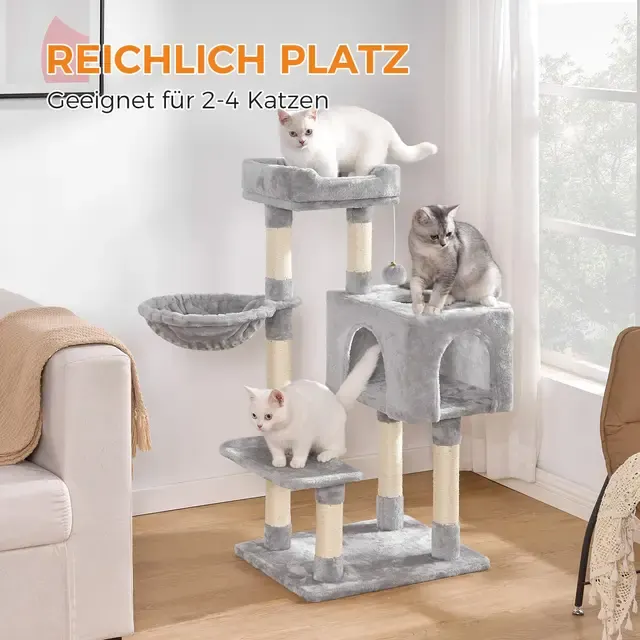 Katzenbaum 4