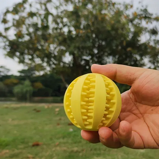 Hundeball-Spielzeug 3