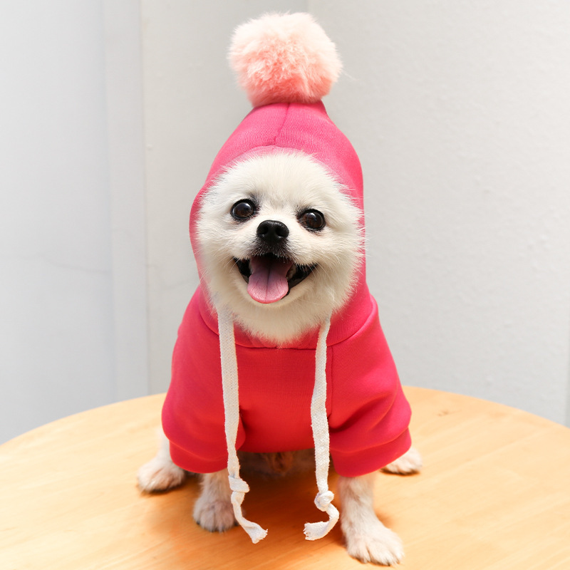 Hunde- und Katzenpullover 2