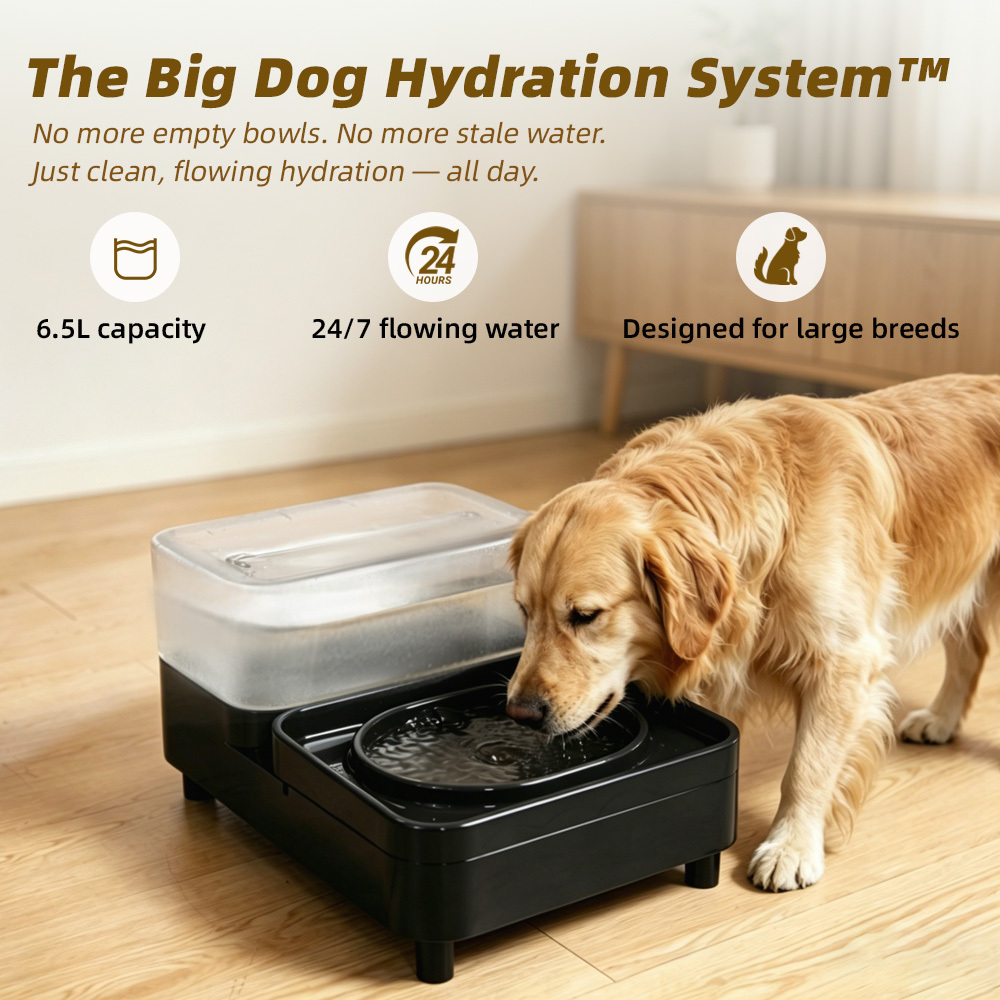 Großer Hunde-Wasserbrunnen, 8 Liter, leise 2