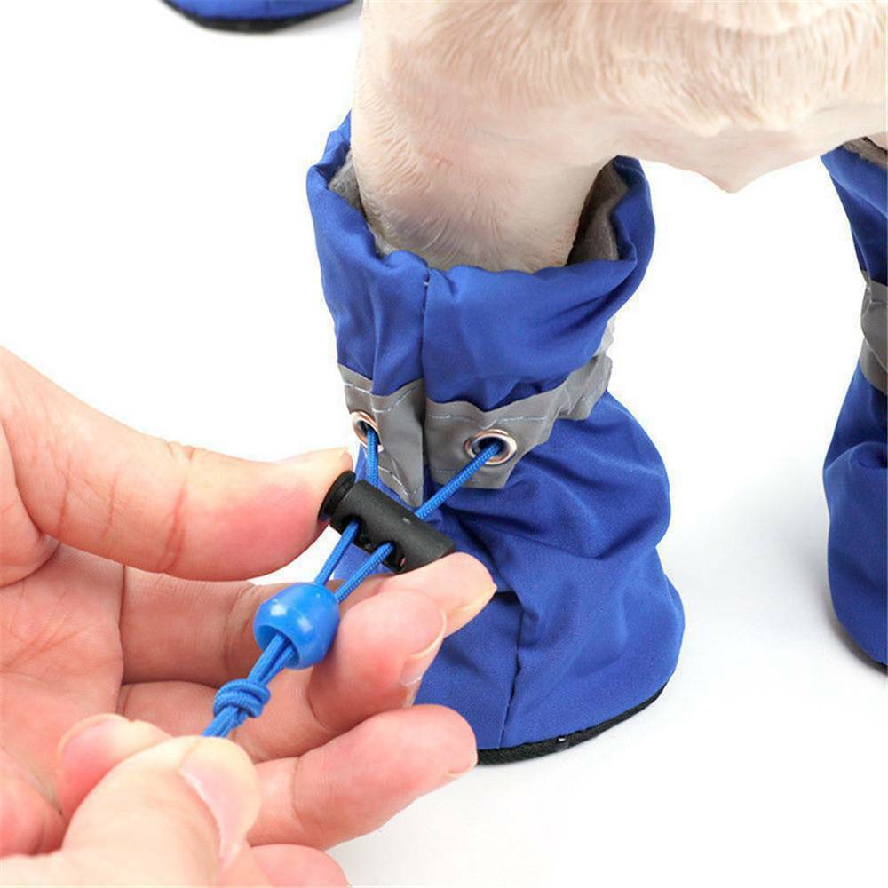 Hundeschuhe