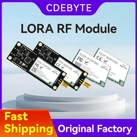 LoRa-Funkmodul