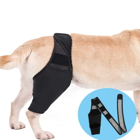 Hunde-Kniebandage
