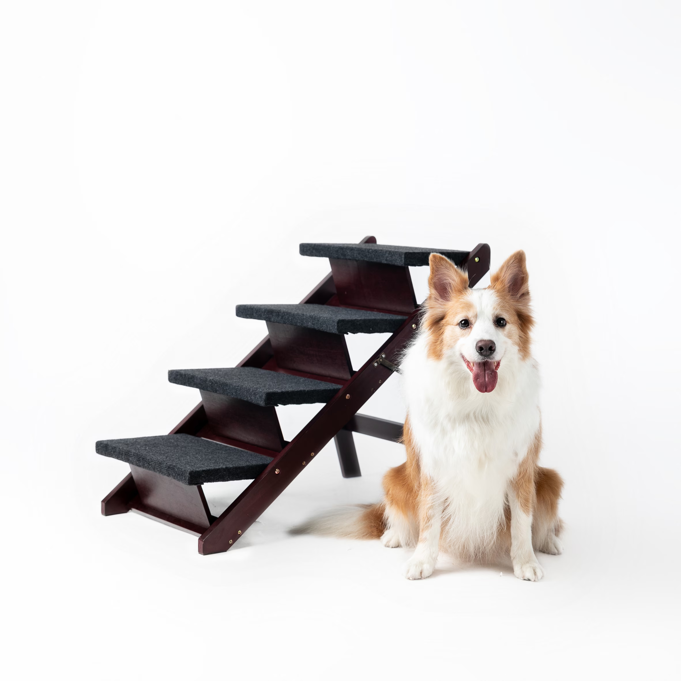 Faltbare Hundetreppe mit 3 Stufen 2
