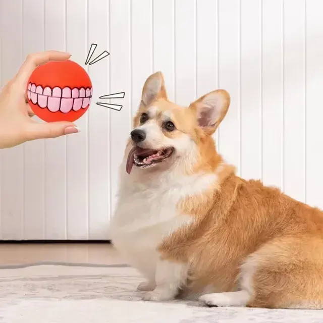 Hunde-Leckerli-Ball 3