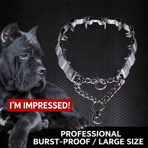 Hunde-Trainingskettenhalsband
