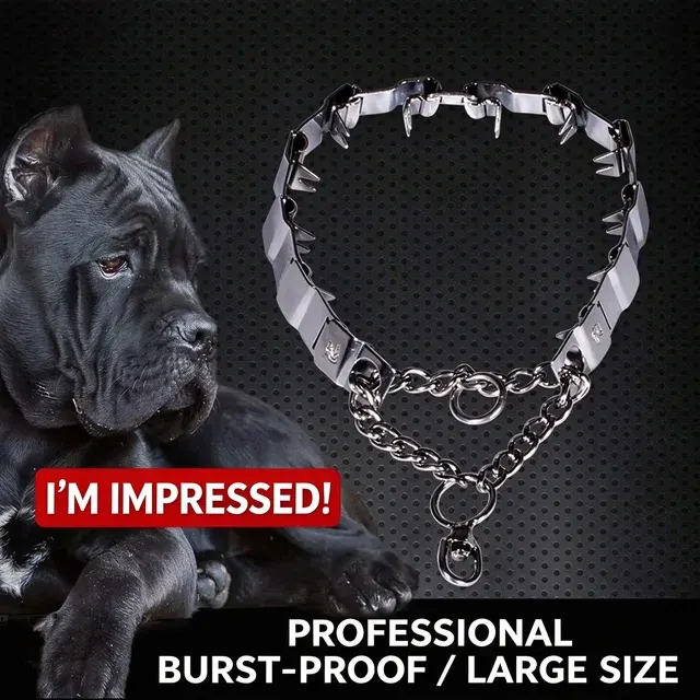 Hunde-Trainingskettenhalsband 1