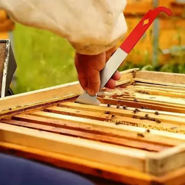 Bienenstock-Schaber 3
