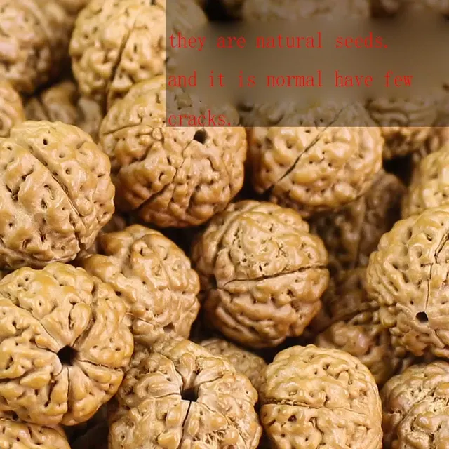 Vajra-Bodhi-Samen-Perlen 2