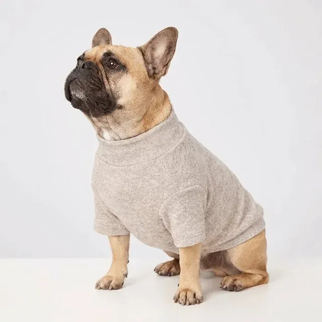 Hundepullover 2