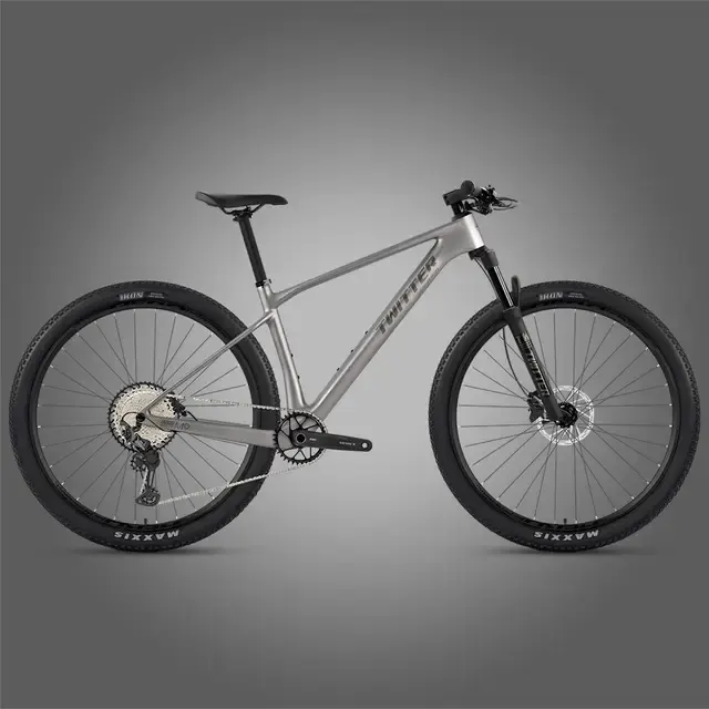 Carbon-Mountainbike 2
