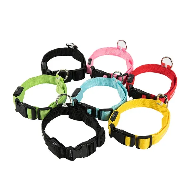 LED-Hundehalsband 2