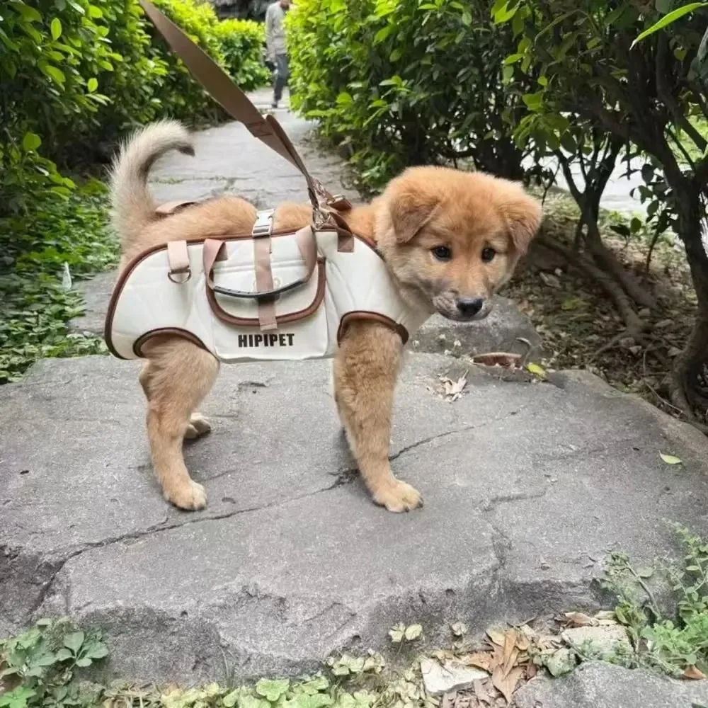 Hunde-Rucksack 4