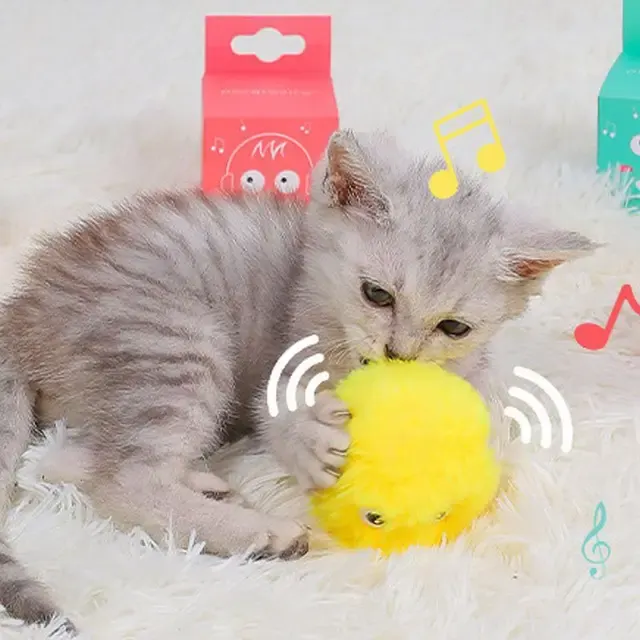 Interaktiver Katzenball 4