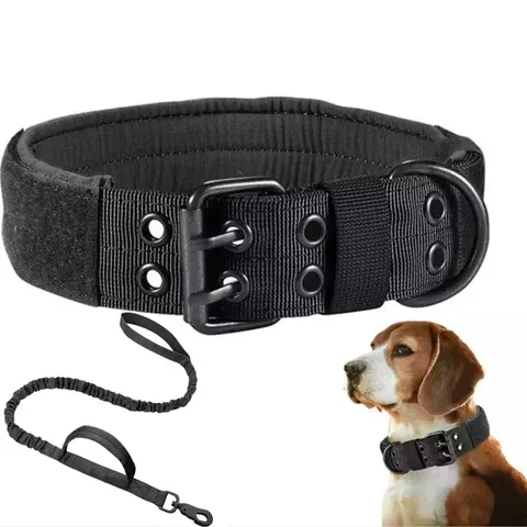 taktisches Hundehalsband