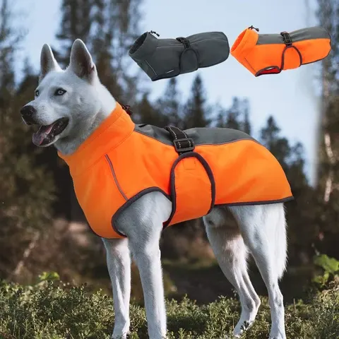 Hundewinterjacke