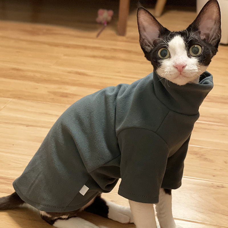 Katzenpullover ohne Fell
