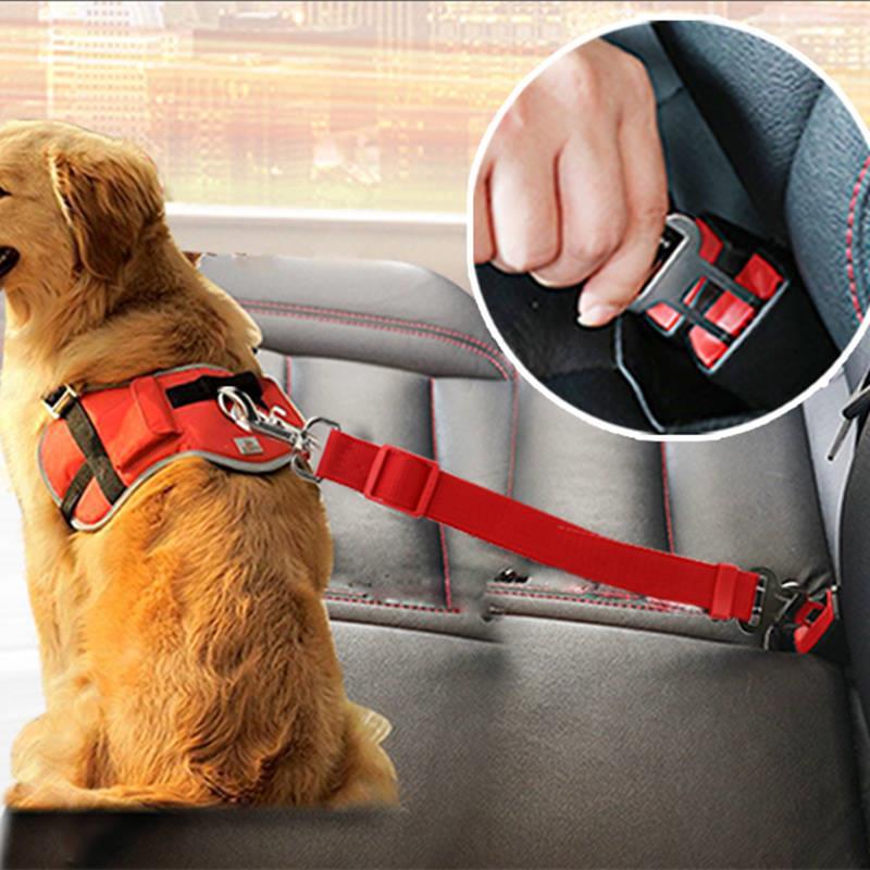 Hunde-Autoleine
