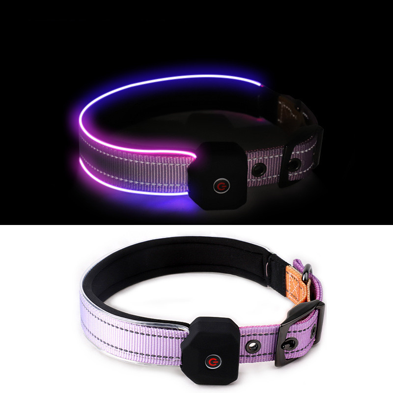 Glow-Hundehalsband mit reflektierenden Streifen
