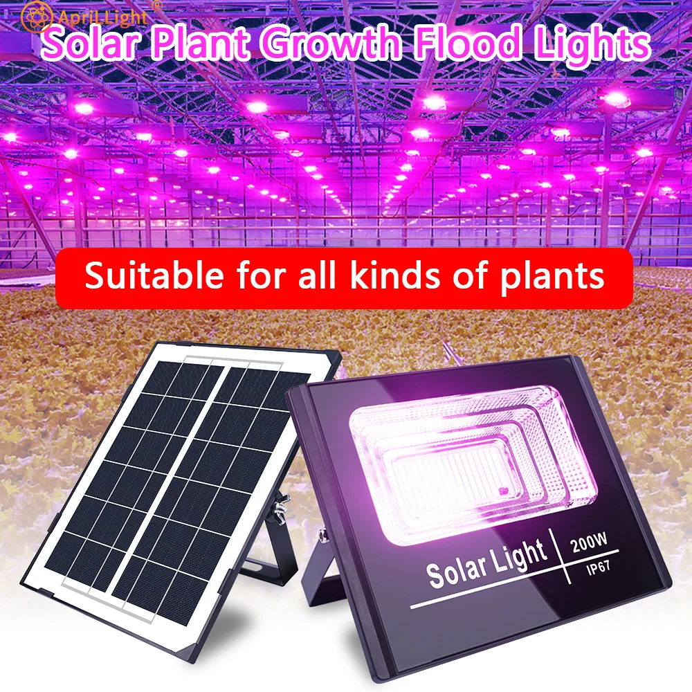 Solar-Pflanzenlampe 4