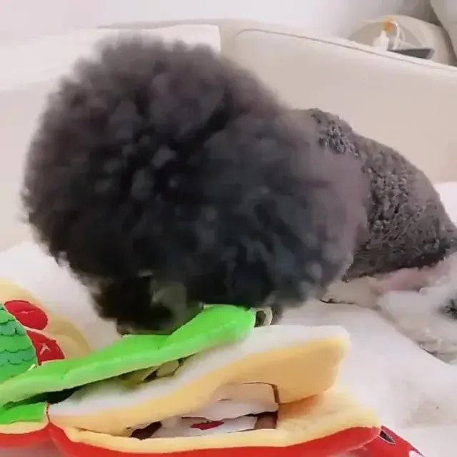 Schnüffelspielzeug Hund 2