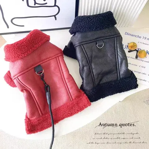 Hunde-Lederjacke mit Pelzkragen