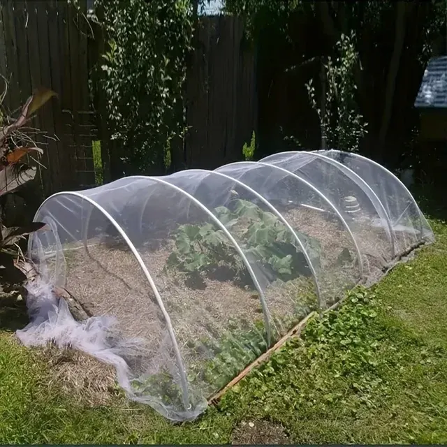 Insektenschutznetz 2