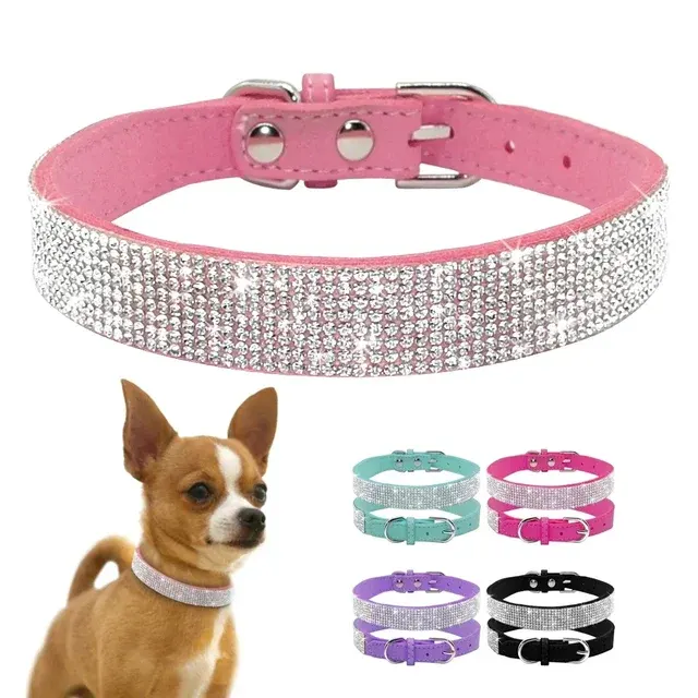 Strass-Hundehalsband 3