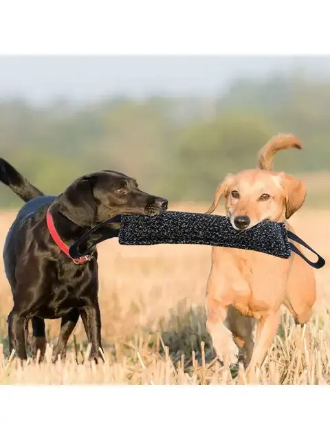 Hunde-Beißstab zum Training 2