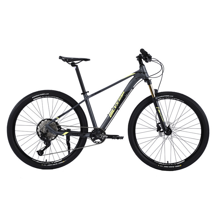 Mountainbike 2