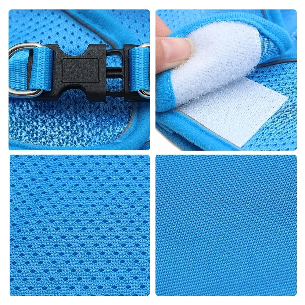 Hundegeschirr-Set 4