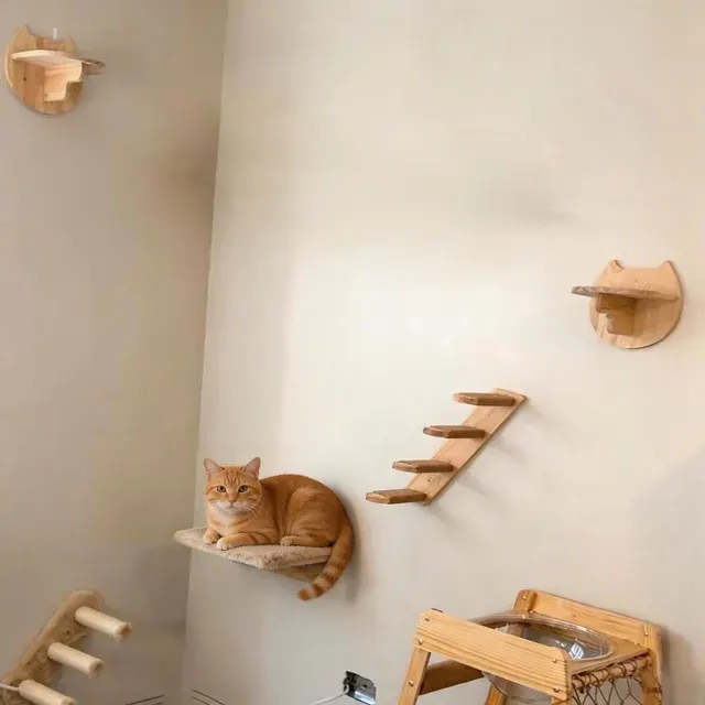 Katzen-Kletterwand 4
