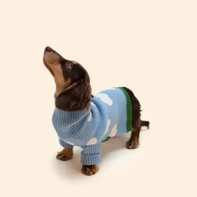Hunde-Wollmantel 4