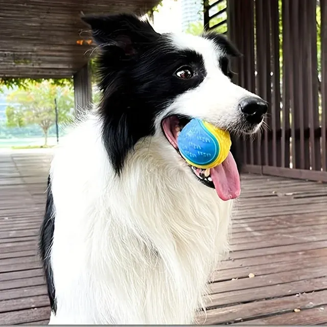 Hundespielzeug Ball 3