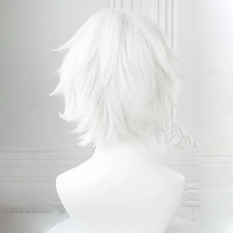 Anime-Cosplay-Perücke 4