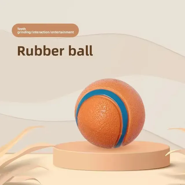 Quietschball für Hunde 2