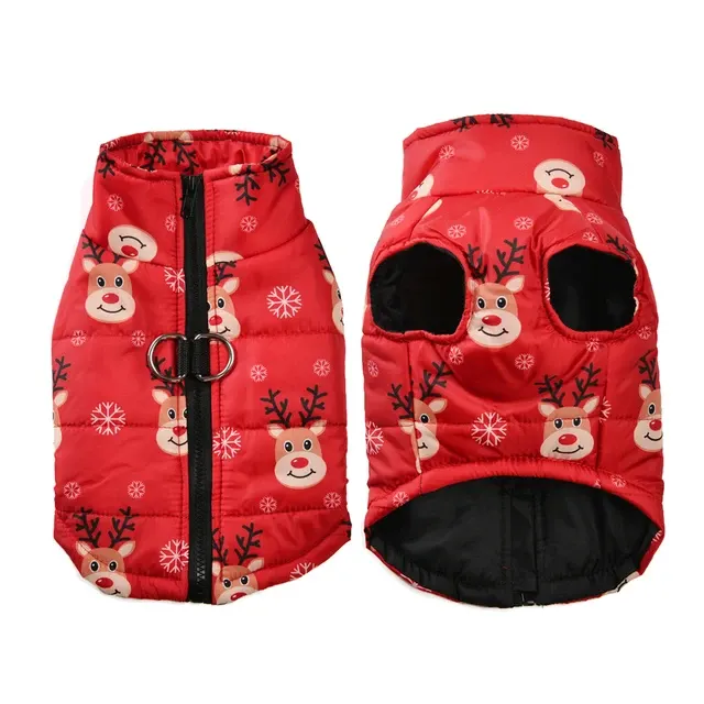Hunde-Winterjacke 3