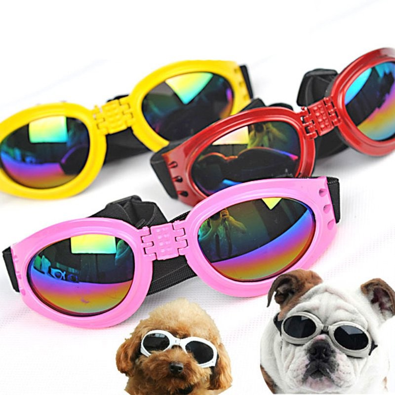 Hunde-Sonnenbrille
