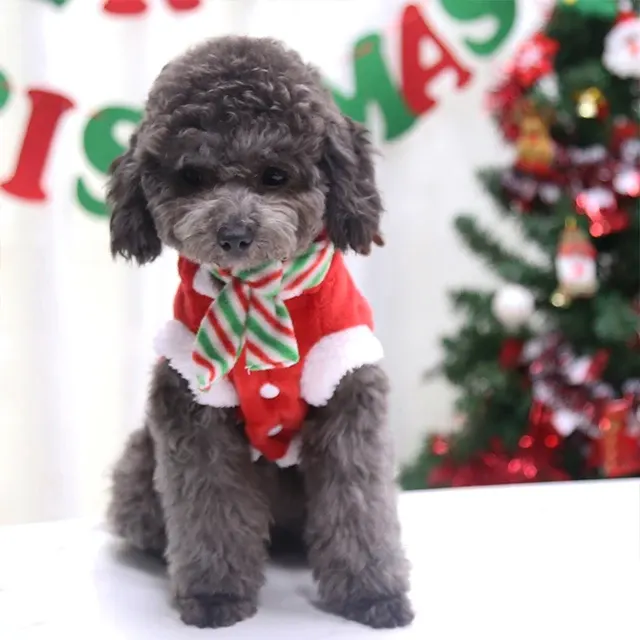 Hunde-Weihnachtspullover 4