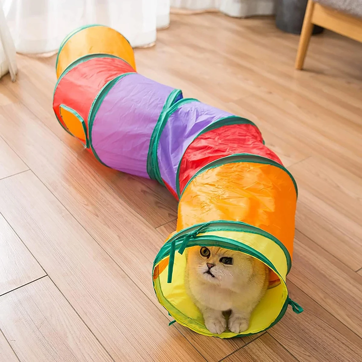 Faltbarer Katzentunnel mit Spielball 4
