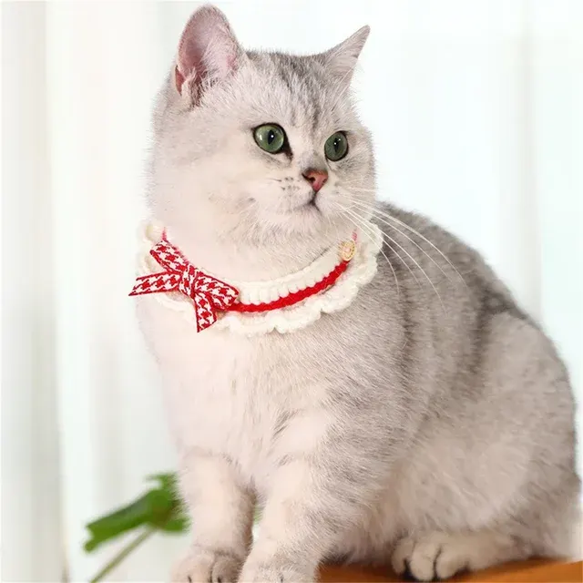 Katzen-Lätzchen 3