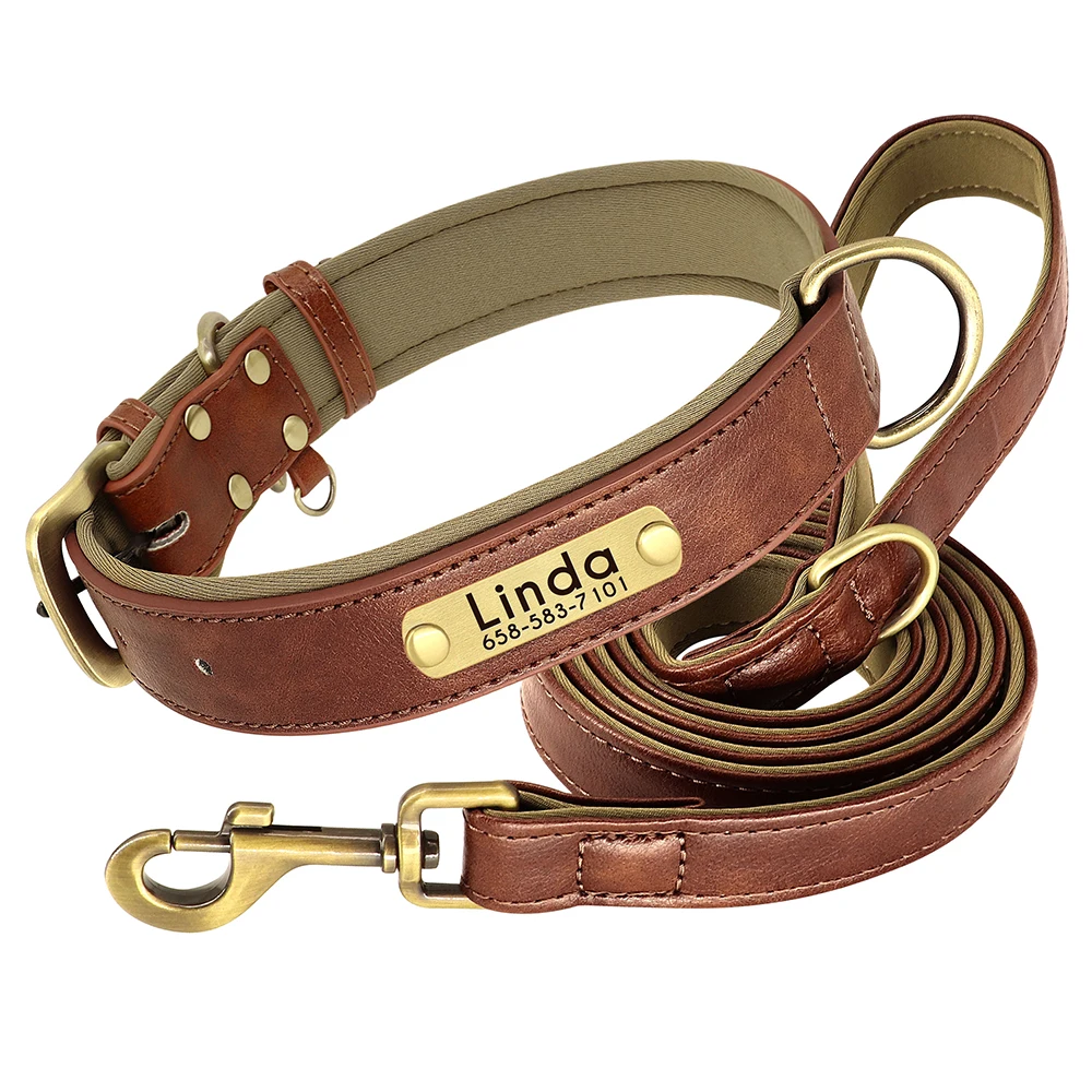 Hundehalsband 2